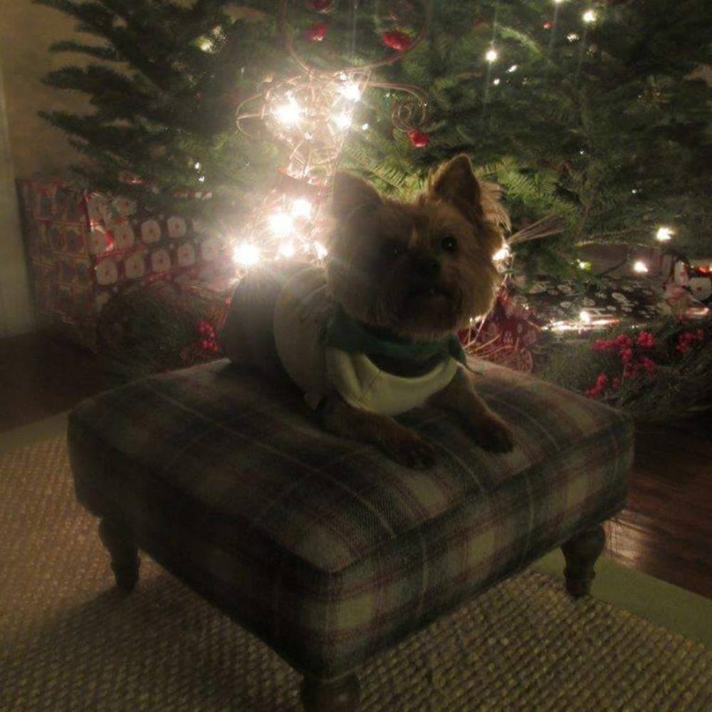 Meet your Posher, Drea